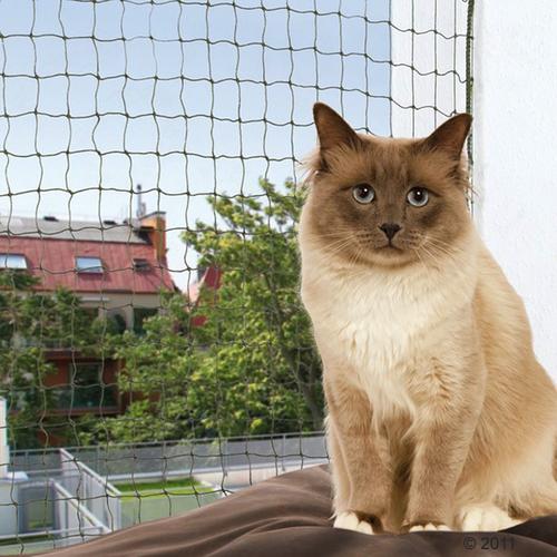 Bild von Olive Trixie Biteproof Cat Net 4x3m